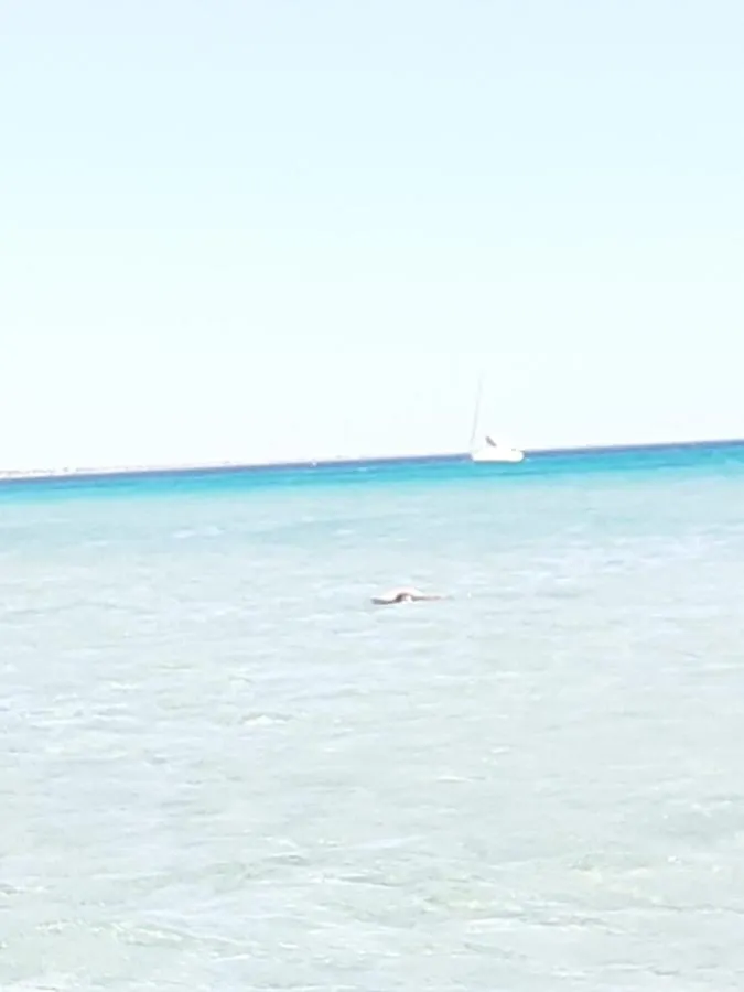 Casa vacanze tra la campagna e il mare Villa Marsala